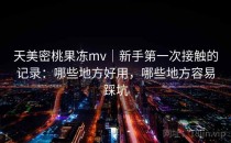 天美密桃果冻mv｜新手第一次接触的记录：哪些地方好用，哪些地方容易踩坑