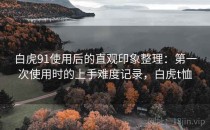 白虎91使用后的直观印象整理：第一次使用时的上手难度记录，白虎t恤