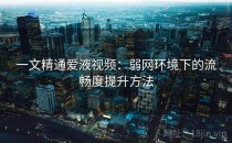 一文精通爱液视频：弱网环境下的流畅度提升方法