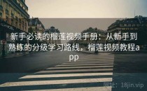 新手必读的榴莲视频手册：从新手到熟练的分级学习路线，榴莲视频教程app