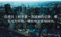 白虎91｜新手第一次接触的记录：哪些地方好用，哪些地方容易踩坑