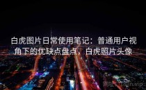 白虎图片日常使用笔记：普通用户视角下的优缺点盘点，白虎照片头像
