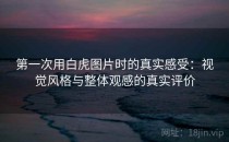 第一次用白虎图片时的真实感受：视觉风格与整体观感的真实评价