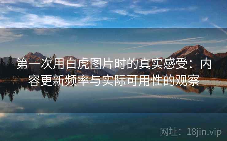 第一次用白虎图片时的真实感受:内容更新频率与实际可用性的观察 第2张 第一次用白虎图片时的真实感受:内容更新频率与实际可用性的观察 第2张