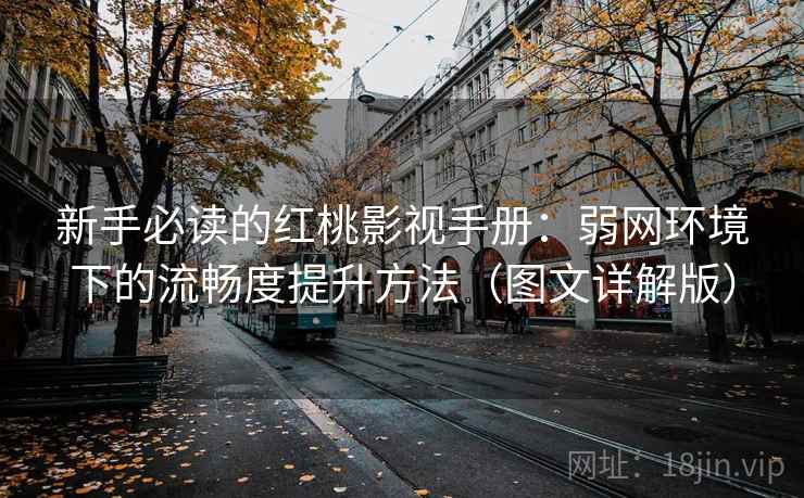 新手必读的红桃影视手册：弱网环境下的流畅度提升方法（图文详解版）  第2张