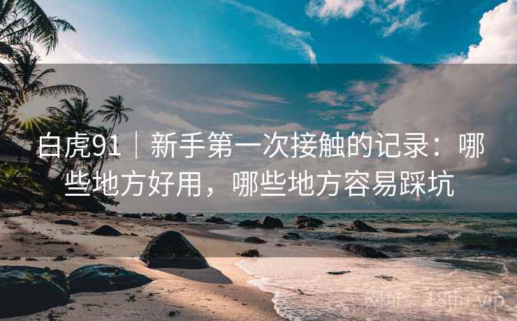 白虎91｜新手第一次接触的记录：哪些地方好用，哪些地方容易踩坑  第2张