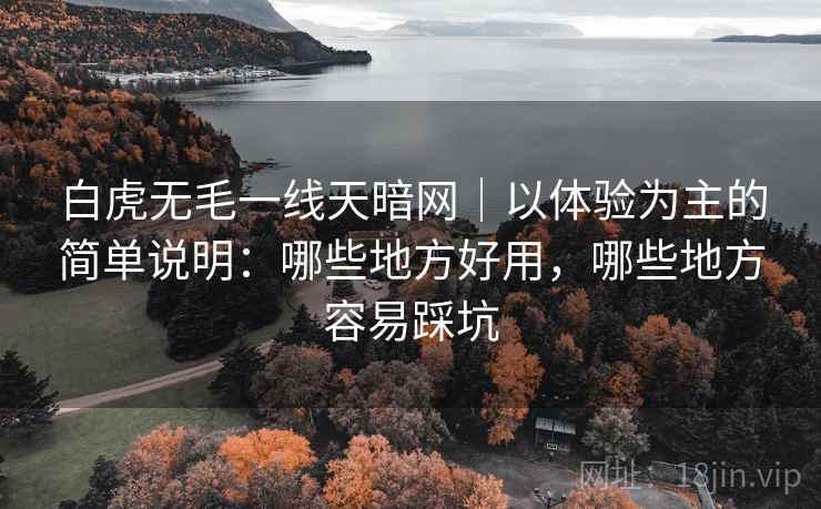 白虎无毛一线天暗网|以体验为主的简单说明:哪些地方好用,哪些地方容易踩坑 第2张 白虎无毛一线天暗网|以体验为主的简单说明:哪些地方好用,哪些地方容易踩坑 第2张
