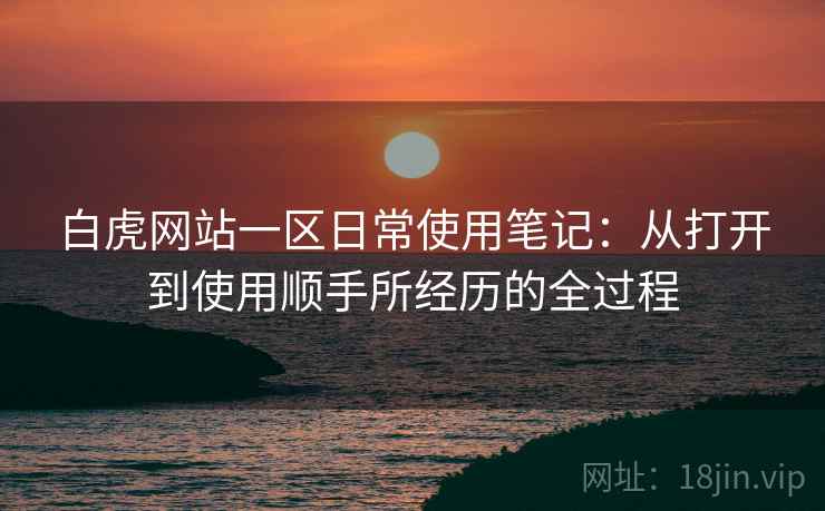 白虎网站一区日常使用笔记：从打开到使用顺手所经历的全过程  第1张