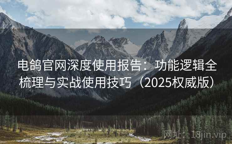 电鸽官网深度使用报告：功能逻辑全梳理与实战使用技巧（2025权威版）  第2张