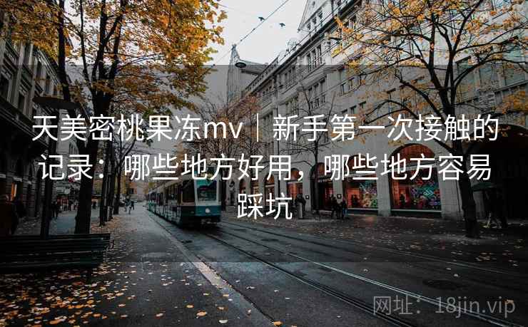 天美密桃果冻mv｜新手第一次接触的记录：哪些地方好用，哪些地方容易踩坑  第2张