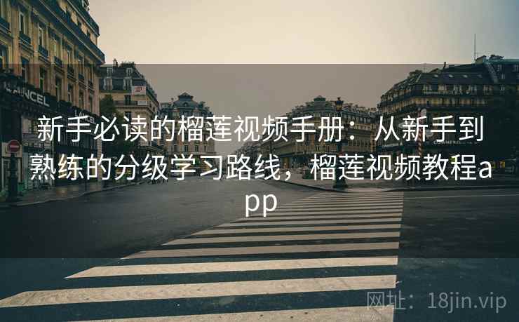 新手必读的榴莲视频手册：从新手到熟练的分级学习路线，榴莲视频教程app  第1张