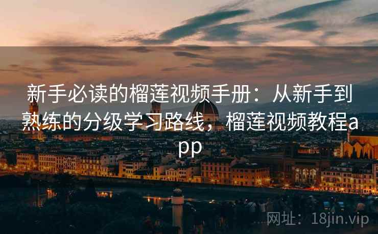 新手必读的榴莲视频手册：从新手到熟练的分级学习路线，榴莲视频教程app  第2张
