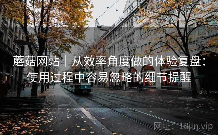 蘑菇网站｜从效率角度做的体验复盘：使用过程中容易忽略的细节提醒  第2张