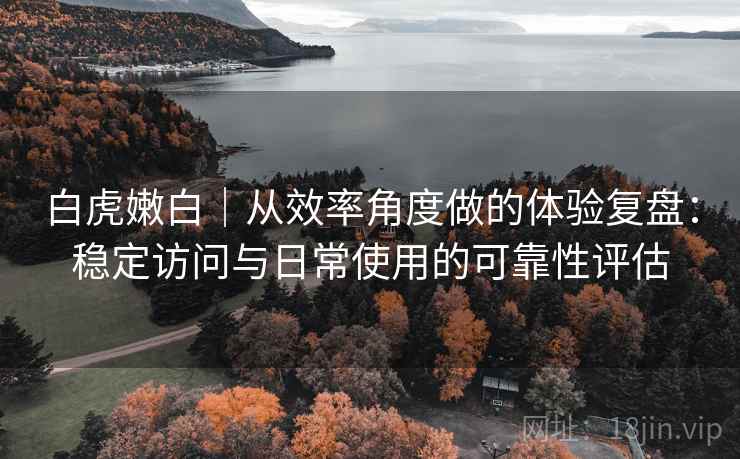 白虎嫩白｜从效率角度做的体验复盘：稳定访问与日常使用的可靠性评估  第1张