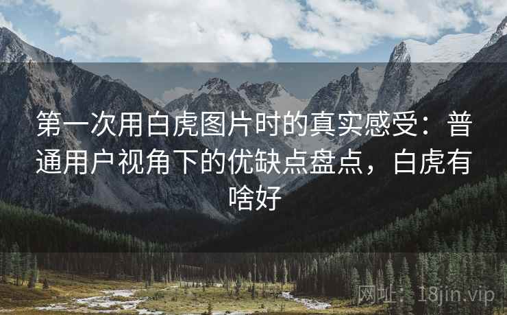 第一次用白虎图片时的真实感受:普通用户视角下的优缺点盘点,白虎有啥好 第2张 第一次用白虎图片时的真实感受:普通用户视角下的优缺点盘点,白虎有啥好 第2张