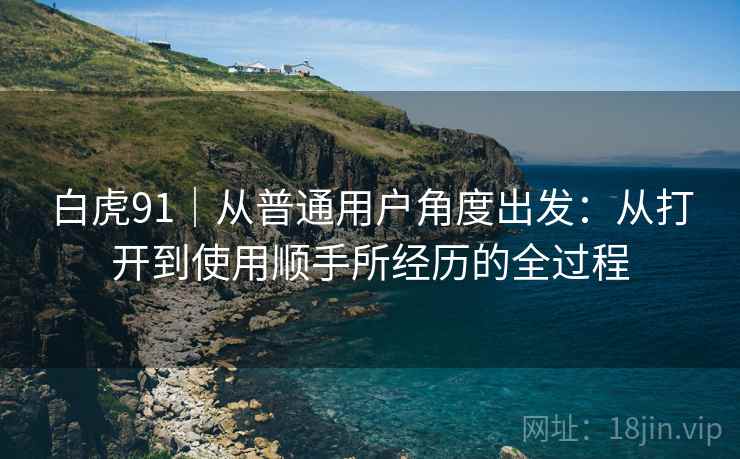 白虎91|从普通用户角度出发:从打开到使用顺手所经历的全过程 第1张 白虎91|从普通用户角度出发:从打开到使用顺手所经历的全过程 第1张